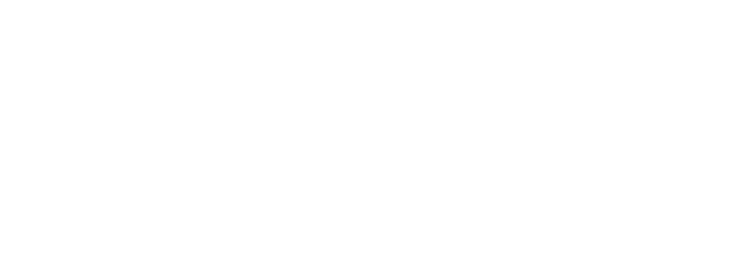 Aman Information Systems